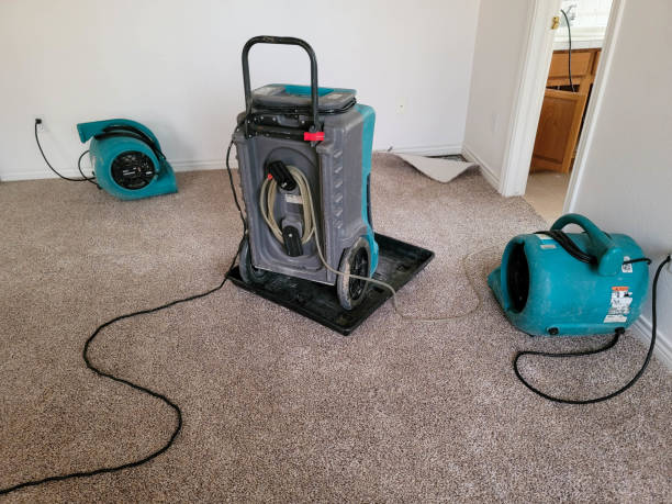 Best Mold removal after water damage  in Gladstone, MO