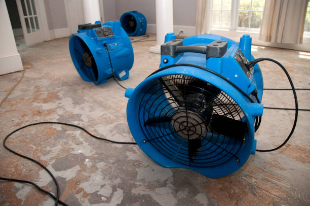 Best 24-hour water damage restoration  in Gladstone, MO