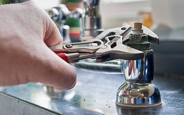 Best Flood damage cleanup  in Gladstone, MO
