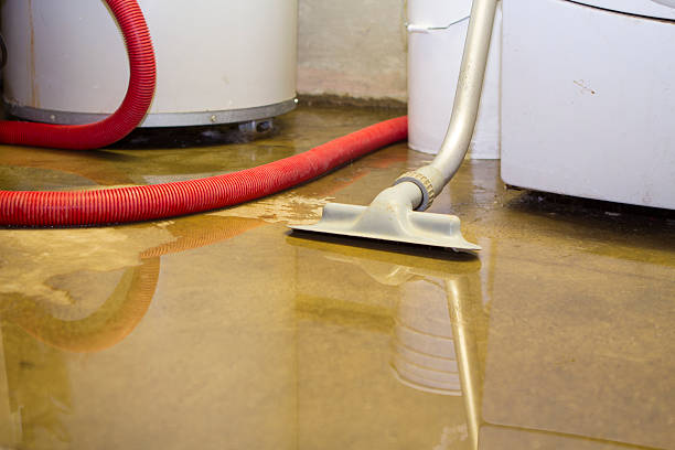 Best Commercial water damage restoration  in Gladstone, MO
