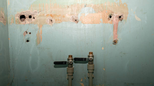 Professional Water damage restoration in MO