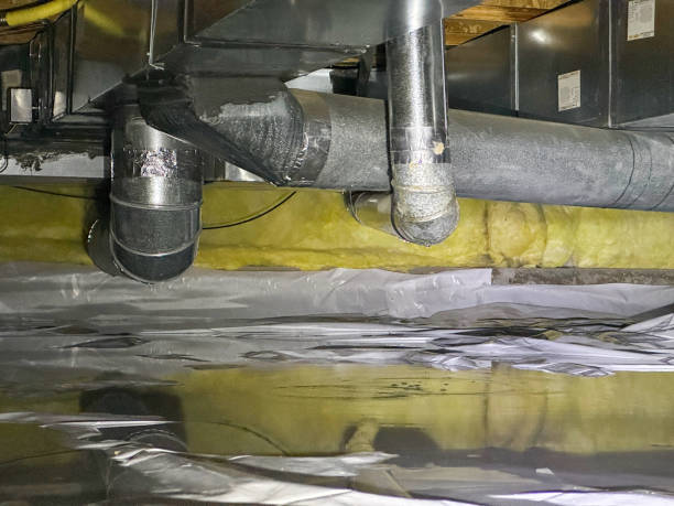 Best Flood damage cleanup  in Gladstone, MO