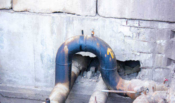 Best Flood restoration services  in Gladstone, MO