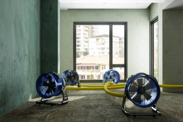 Best Local water damage restoration  in Gladstone, MO
