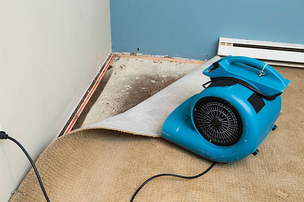 Best Ceiling water damage repair  in Gladstone, MO